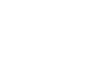Nemanich consulting and mgt