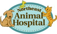 North east animal hospital