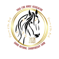 Paso fino horse association