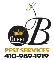 Queen "b" pest services