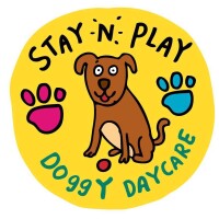 Stay n play daycare