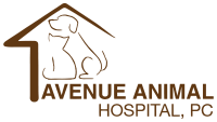 Avenue animal hospital, p.c.