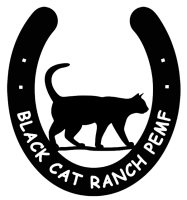 Black cat ranch