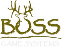 Boss game systems
