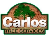 Carlos tree service