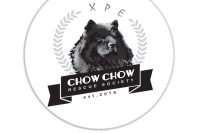 Chow dog rescue