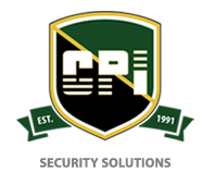 Cpi security solutions incorporated