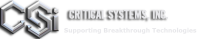 Critical systems services inc