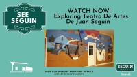 Teatro De Artes De Juan Seguin