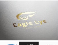 Eagle eyes verify, llc