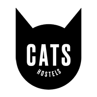 Hostel cat