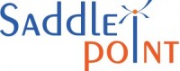 Saddle point solutions