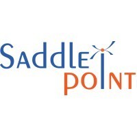 Saddle point systems