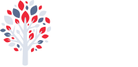 TLC Property Services & Landscape Design