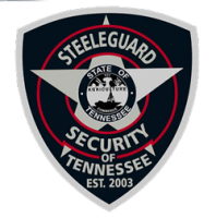 Steeleguard security