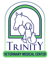 Trinity veterinary hospital