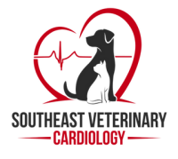 Veterinary cardiology consultants