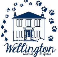 Wellington animal hospital