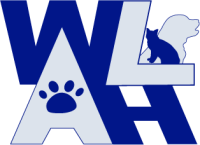 Animal hospital of waterford