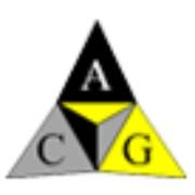 Academy consulting group