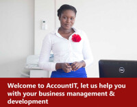 Account-it consulting services