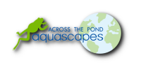 Across the pond aquascapes