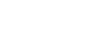 Aden leadership