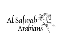 Arabian horse ranch