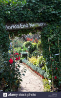 Worlds End Nurseries Garden Centre, Chelsea