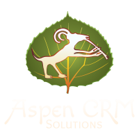 Aspen crm solutions