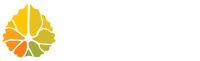 Aspen neuroscience