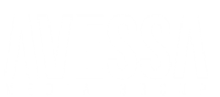 Avessa media group