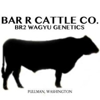 Bar r cattle co
