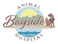Bayfront animal hospital