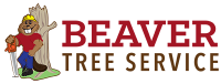 Beavertree