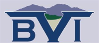 Big valley insurance agency inc