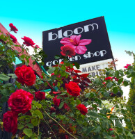 Bloom garden shop, llc