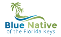 Blue native of the florida keys