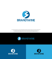 Brandywine organizational consultants