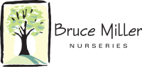 Bruce miller nursery, inc.