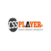 Cssplayer IT solution Pvt. Ltd