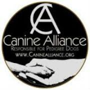 Canine alliance