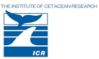 Channel islands cetacean research unit