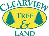 Clearview tree service