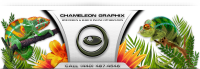 Chameleon graphix web design