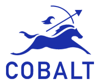 Cobalt investment partners