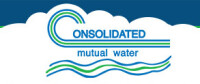 Consolidated backflow llc