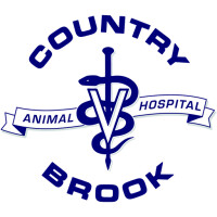 Country brook animal hospital