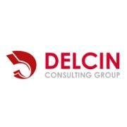 Delcin consulting group