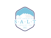 Design salt inc